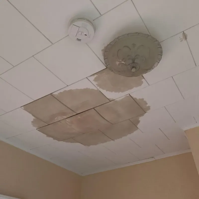 Ceiling Water Damage Repair in Lima, OH