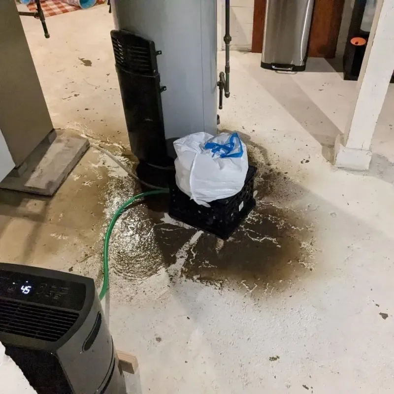 Sewage Backup Cleanup Service in Lima, OH